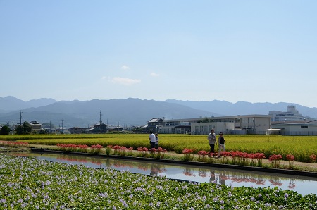 c0229483_138720.jpg