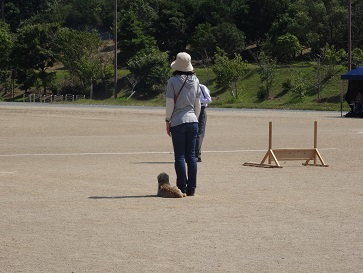 静岡県訓練王座2014　その③_e0100584_0465713.jpg