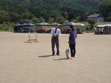 静岡県訓練王座2014　その③_e0100584_05602.jpg