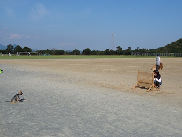 静岡県訓練王座2014　その③_e0100584_110447.jpg