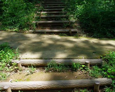 b0123486_14422478.jpg