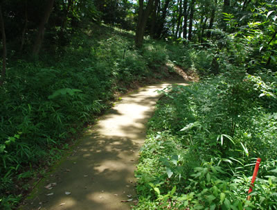 b0123486_14471287.jpg