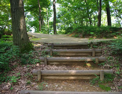 b0123486_1455742.jpg