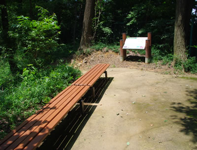 b0123486_1511318.jpg
