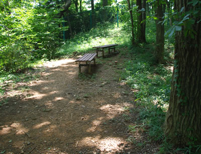 b0123486_15211361.jpg