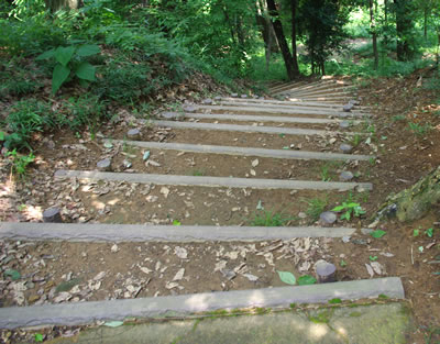 b0123486_15325651.jpg