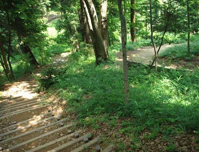 b0123486_15362216.jpg