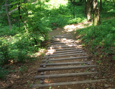 b0123486_15414720.jpg