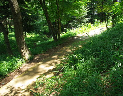 b0123486_161355.jpg