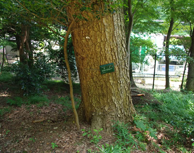 b0123486_1634202.jpg