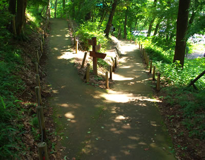 b0123486_16391747.jpg