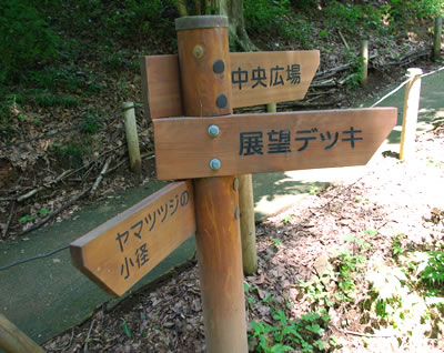 b0123486_16423931.jpg