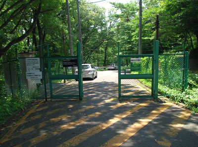 b0123486_8234855.jpg