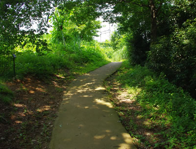 b0123486_847455.jpg
