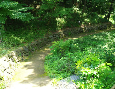 b0123486_921457.jpg