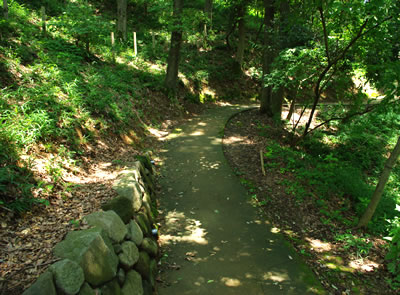 b0123486_925485.jpg