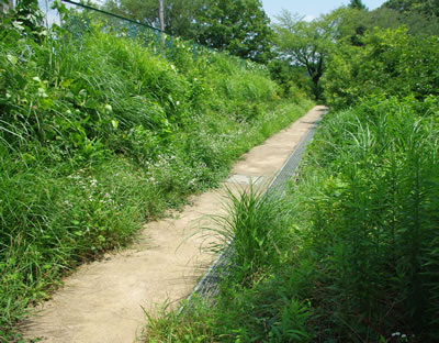 b0123486_93451.jpg