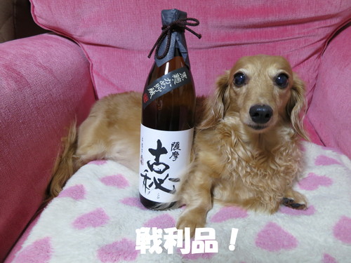Yahoo!メールシステム不具合で大損する・・・_b0200291_2113429.jpg