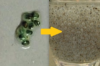c0338191_23551601.jpg
