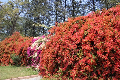 c0338191_23552364.jpg