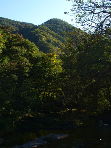 f0236291_1611175.jpg