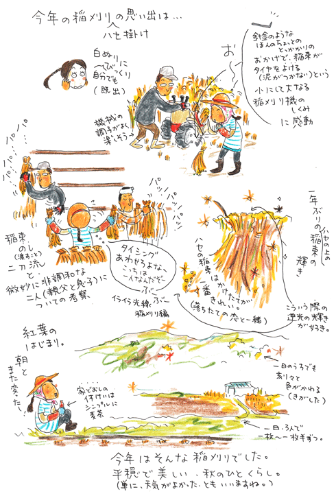 f0236291_1632615.gif