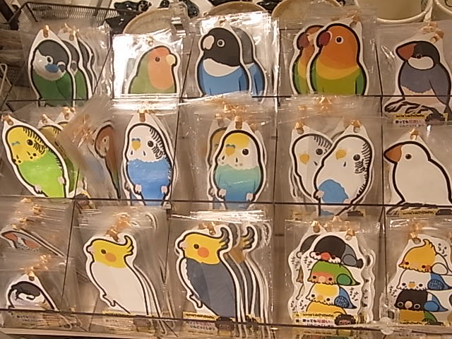 ５周年！cototokoお菓子情報、東急ハンズインコと鳥の雑貨展_d0322493_8344065.jpg