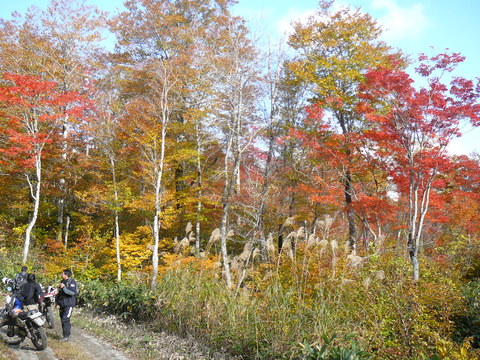 いこうよう！　紅葉狩り温泉キャンプツーリング14  _f0137496_1543266.jpg