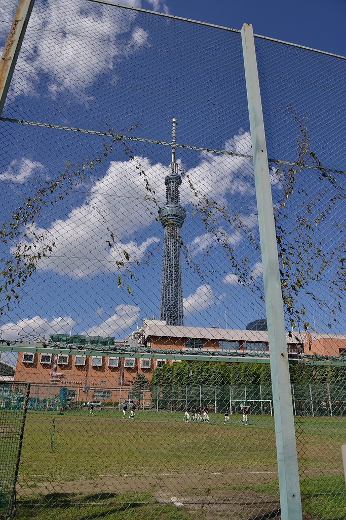 d0288500_07575493.jpg