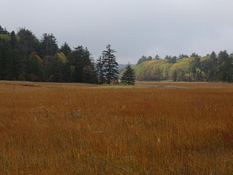 d0046702_84587.jpg