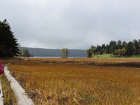 d0046702_85501.jpg