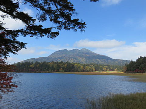 d0046702_875761.jpg