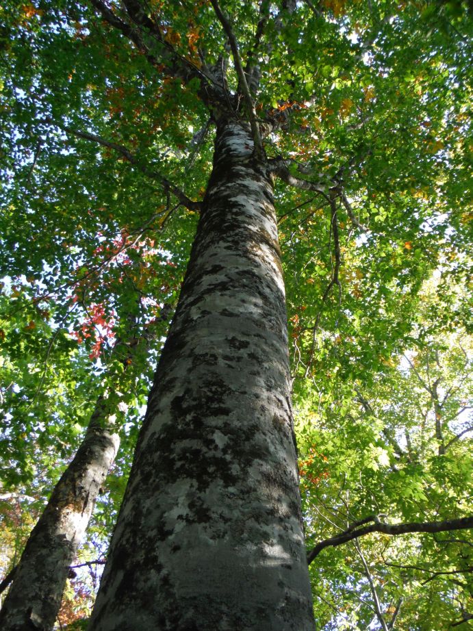 b0172805_101448.jpg