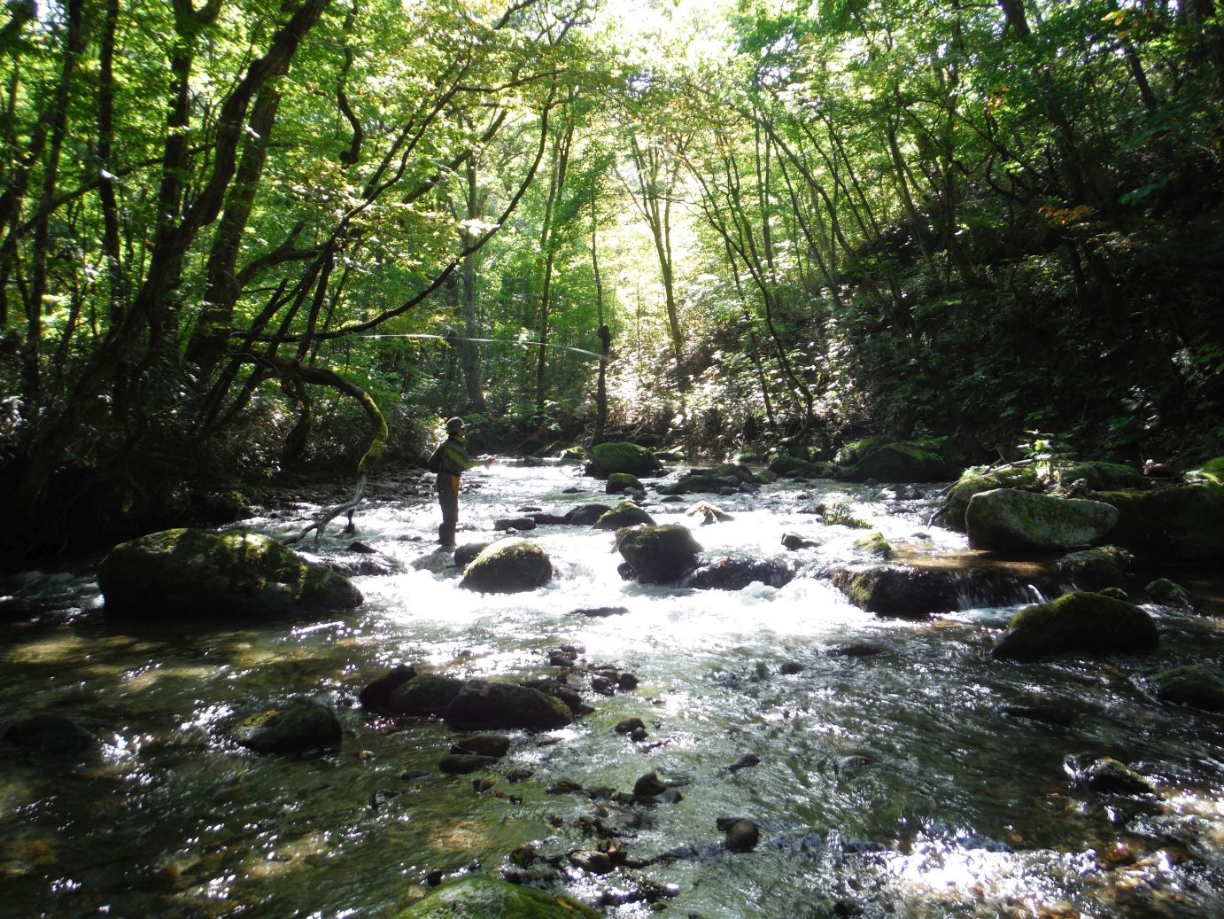 b0172805_1033977.jpg