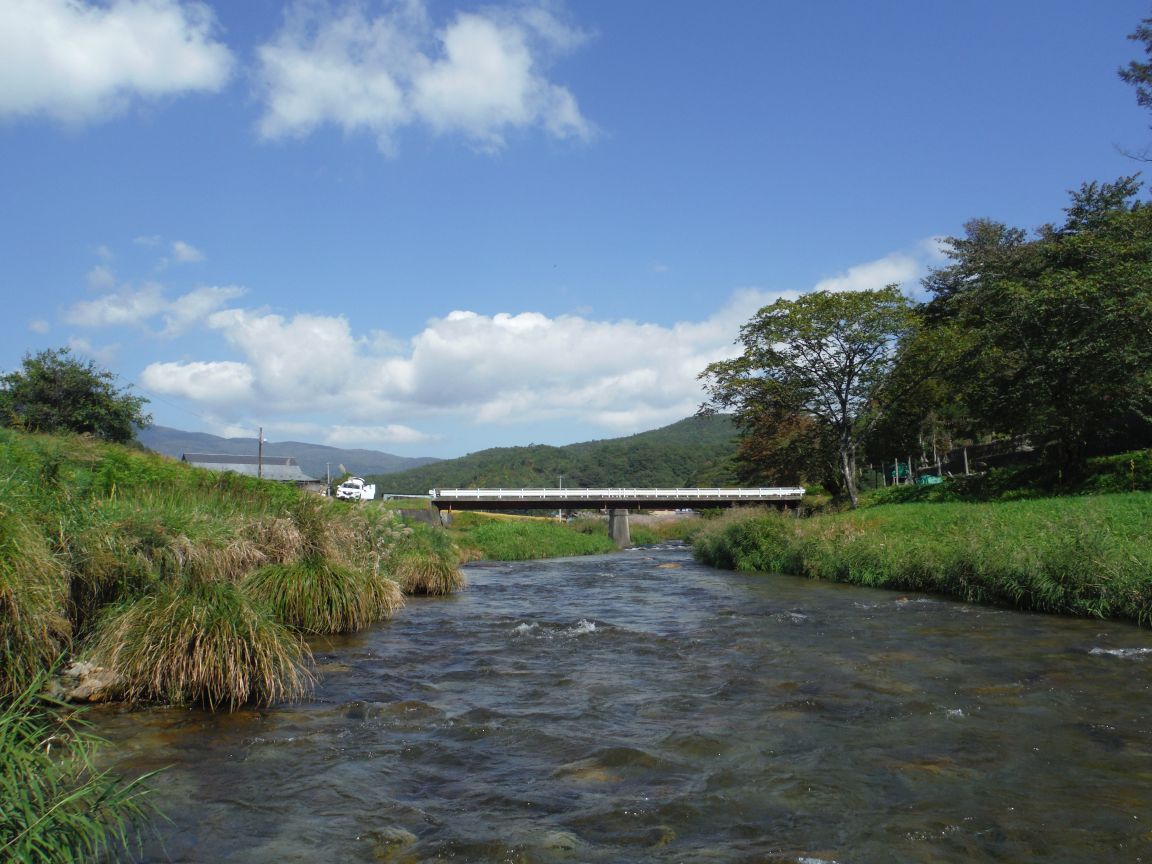 b0172805_10364868.jpg