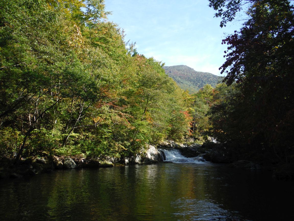 b0172805_956461.jpg