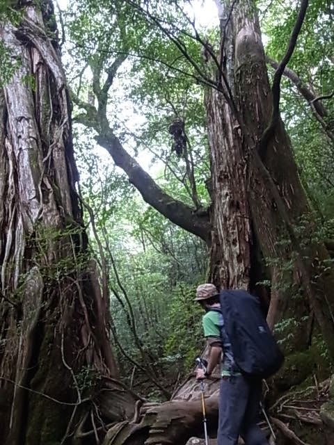 c0093205_15193678.jpg