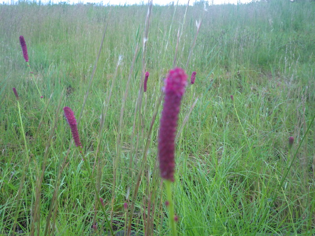 c0280206_2234812.jpg
