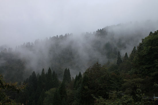 e0048413_17101422.jpg