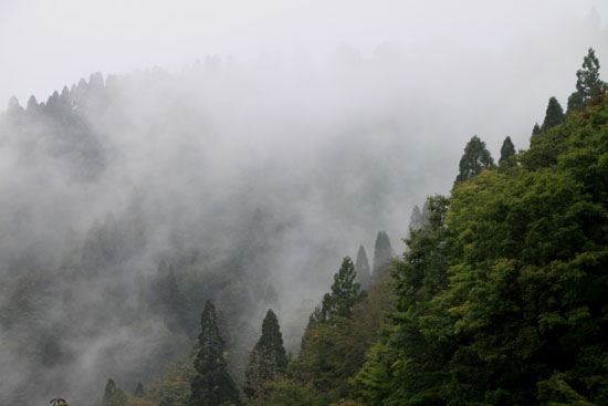 霧にかすむ北山 2_e0048413_1710740.jpg