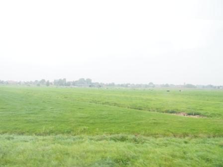 b0302318_194322.jpg