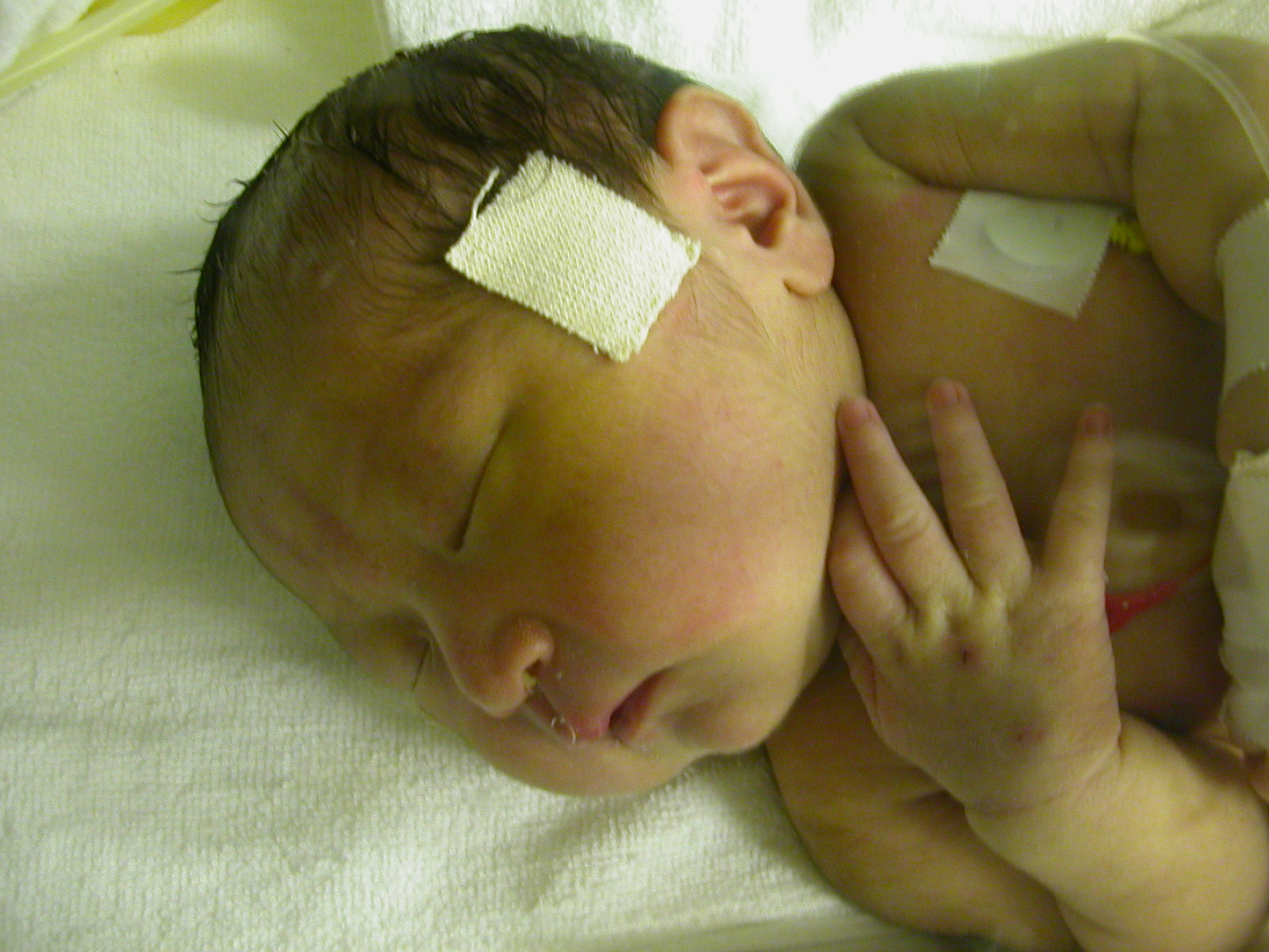 aoさん誕生日 12_e0136620_20481057.jpg