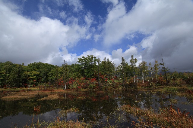 e0242721_921481.jpg
