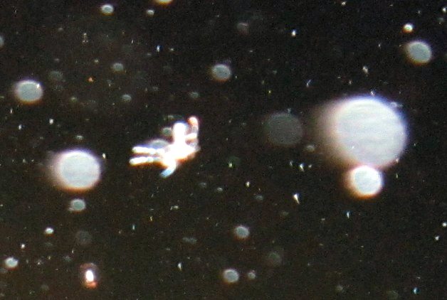 c0331825_19100402.jpg