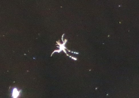 c0331825_19135040.jpg