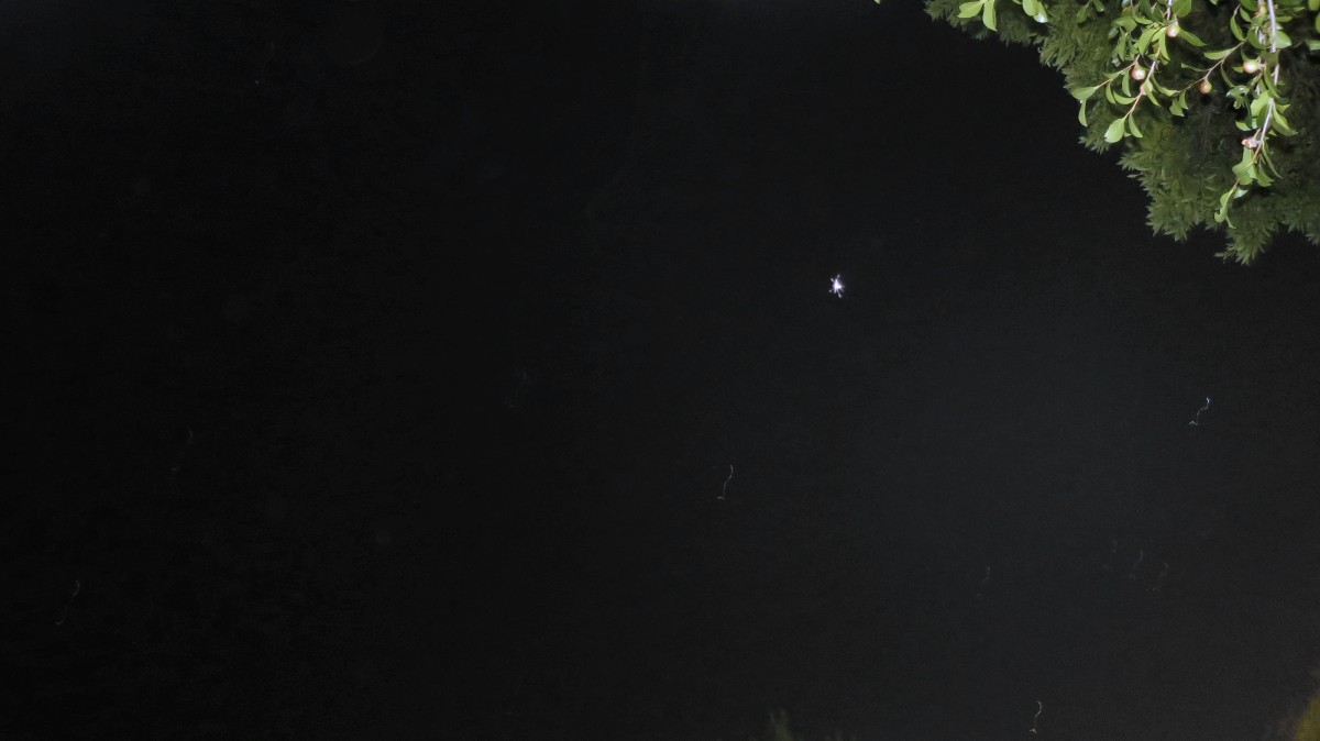 c0331825_19241958.jpg
