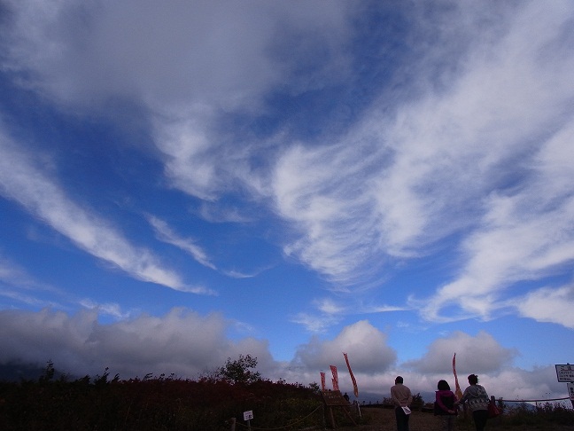 c0225927_1532988.jpg