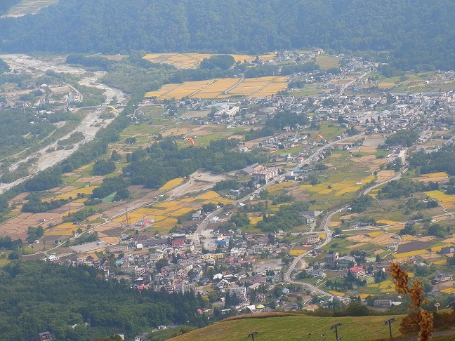 c0225927_157525.jpg