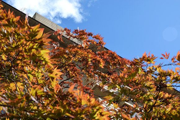e0037129_10375790.jpg