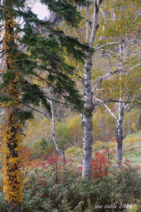 c0240132_6112460.jpg